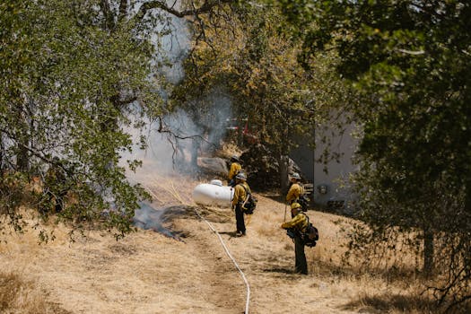 Firefighters in protective gear combat a wildfire in a dry, wooded area with visible smoke.